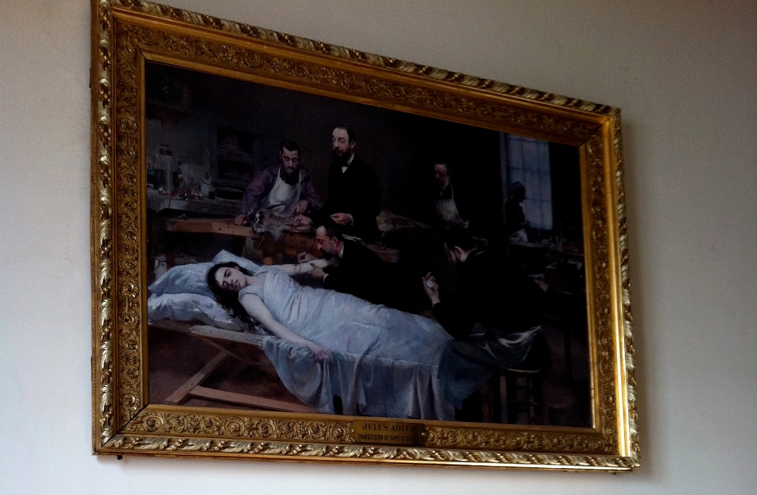 Transfusion de sang de chèvre, Musee d'Histoire de la Medecine, Paris by Rosa Longo - 02.jpg